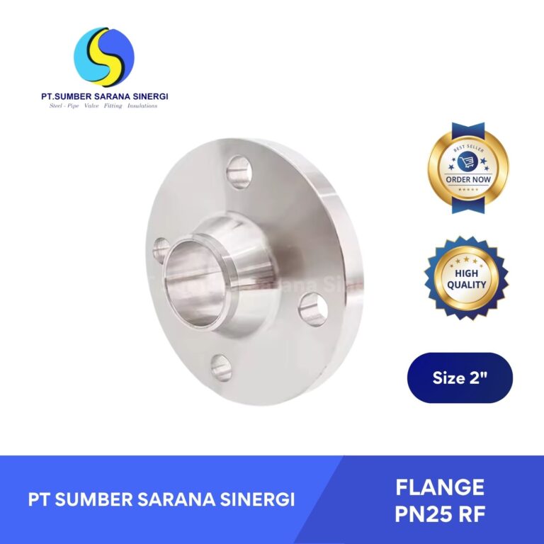 Flange Carbon Steel PN25 RF 2 Inch – Flange Pipa Berkualitas untuk Instalasi Industri