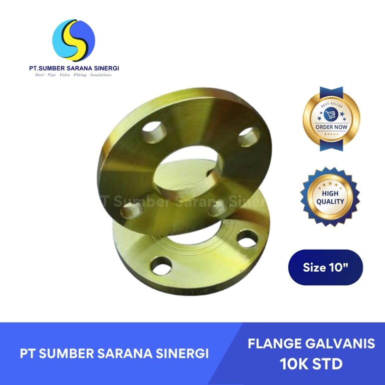 Flange Galvanis 10K STD 10 Inch